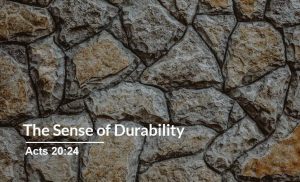 Read more about the article The Sense of Durability