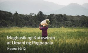 Read more about the article Maghasik ng Katuwiran at Umani ng Pagpapala (Hosea 10:12)