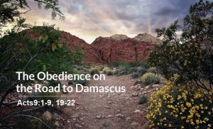 Read more about the article The Obedience on the Road to Damascus (Acts 9:1-9, 19-22)