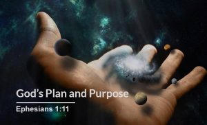 Read more about the article God’s Plan and Purpose (Ephesians 1:11)