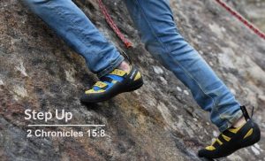 Read more about the article Step Up (2 Chronicles 15:8)