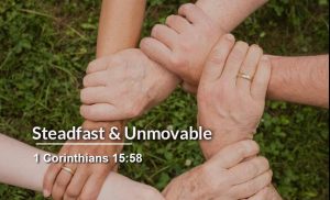 Read more about the article Steadfast & Unmovable (1 Corinthians 15:58)