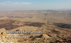 Read more about the article Another Hard Lesson (Numbers 21:4-5)