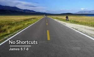 Read more about the article No Shortcuts (James 5:7-8)