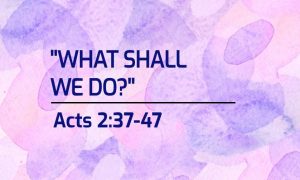 Read more about the article “What Shall We Do?” – Acts 2:37-47