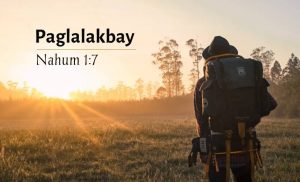 Read more about the article Paglalakbay (Nahum 1:7)