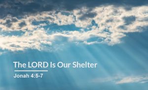 Read more about the article The LORD is our Shelter