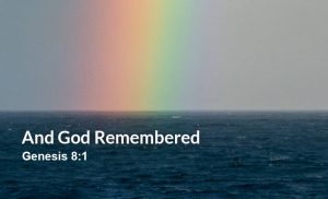 Read more about the article And God Remembered (Genesis 8:1)