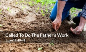 Read more about the article Called To Do The Father’s Work (Luke 14:48-49)