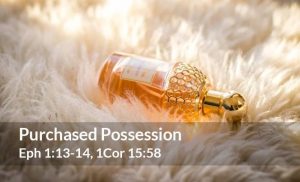 Read more about the article Purchased Possession (Eph 1:13-14, 1Cor 15:58)