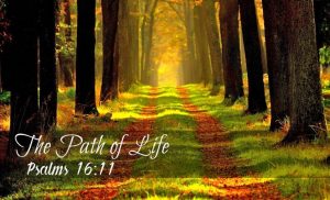 Read more about the article The Path of Life (Psalms 16:11)