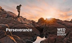 Read more about the article Perseverance (Series)