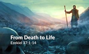 Read more about the article From Death to Life (Ezekiel 37:1-14)