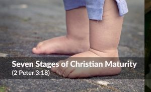 Read more about the article Seven Stages of Christian Maturity (2 Peter 3:18)