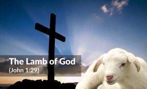 Read more about the article The Lamb of God (John 1:29)