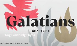 Read more about the article Galatians (Series)