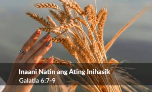 Read more about the article Inaani Natin ang Ating Inihasik (Gal 6:7-9)