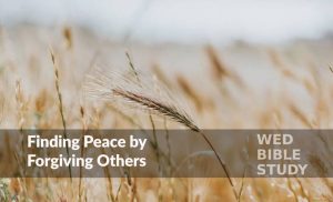 Read more about the article Finding Peace by Forgiving Others – Part 2