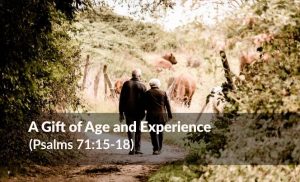 Read more about the article A Gift of Age and Experience (Psalms 71:15-18)